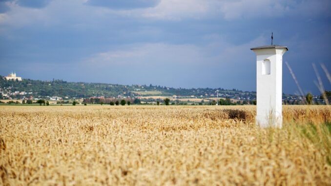 Zdroj foto: Pixabay.com