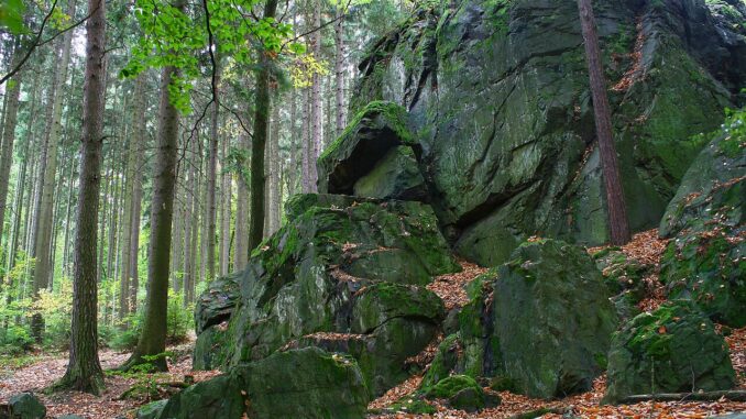 Přírodní památka Tupadelské skály ležící v okrese Klatovy,. Autor: Adam Hauner / Wikimedia Commons, licence CC BY-SA 3.0. Zdroj: Creative Commons