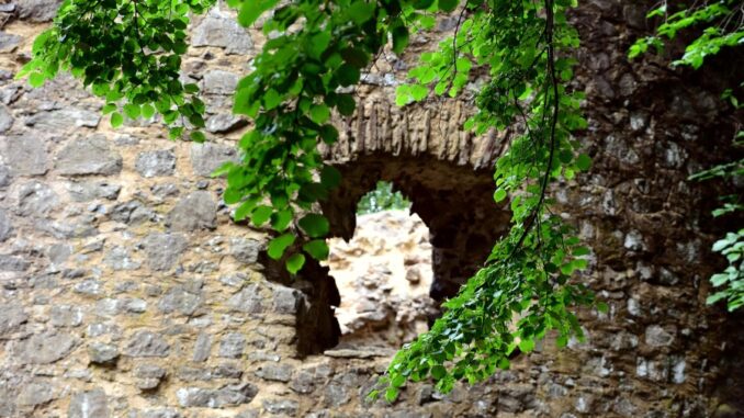 Zdroj foto: Pixabay.com