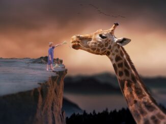 Zdroj foto: Pixabay.com