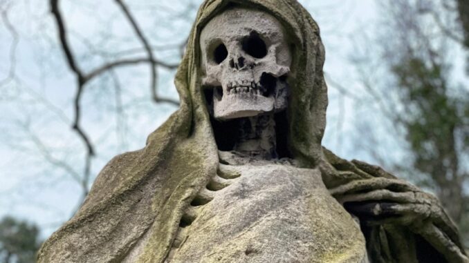 Zdroj foto: Pixabay.com