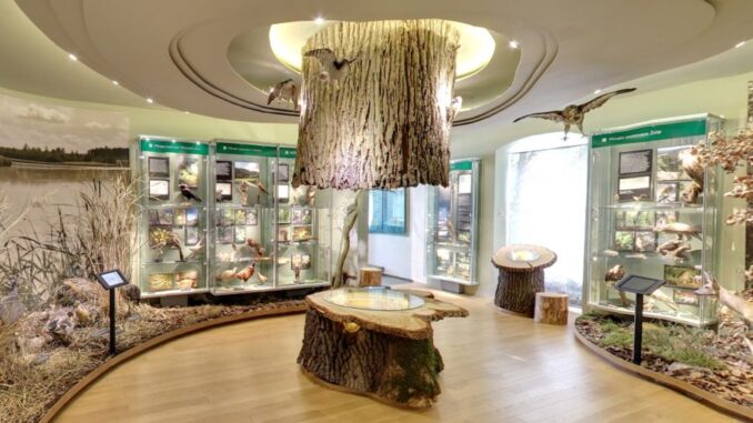 Zdroj foto: Muzeum Dr. B. Horáka, Rokycany