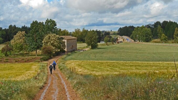 Zdroj foto: Pixabay.com