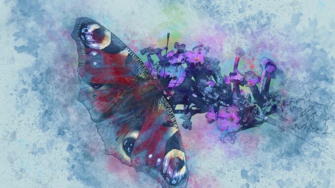 Zdroj foto: pixabay.com