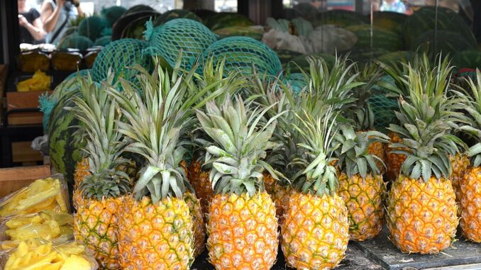 Ilustrační foto. Zdroj: Pixabay.com