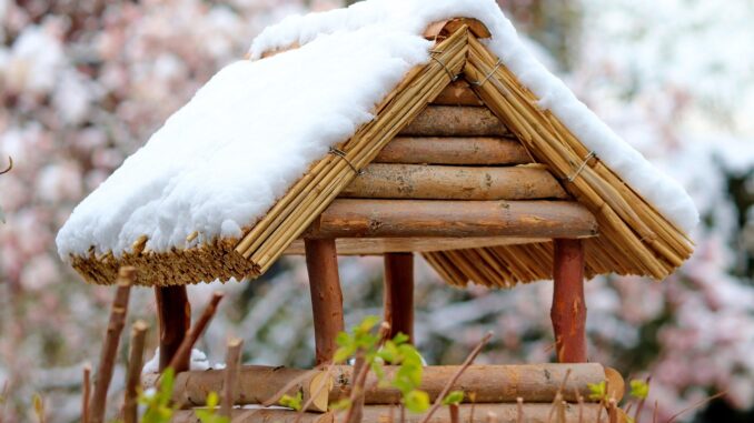 Ilustrační foto. Zdroj: Pixabay.com