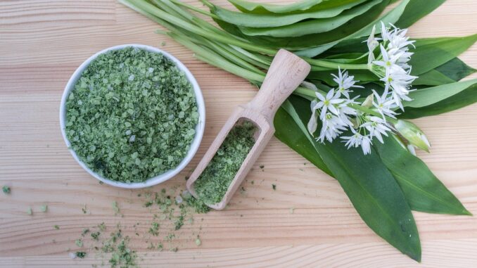 Ilustrační foto. Zdroj: Pixabay.com