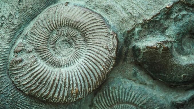 Zdroj foto: Pixabay.com