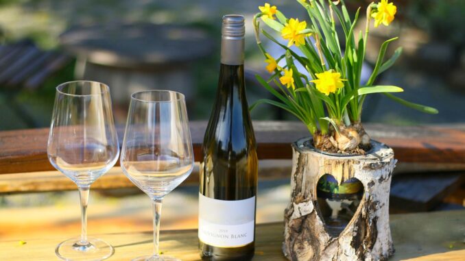 Ilustrační foto. Zdroj: Pixabay.com