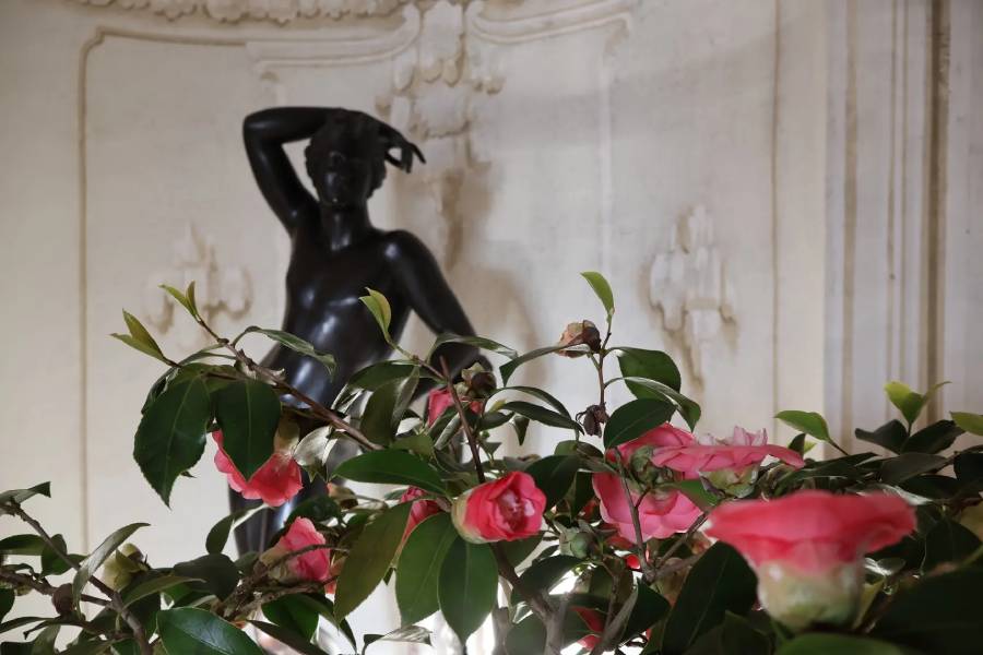 Rájecké kamélie. Zdroj: Národní památkový ústav