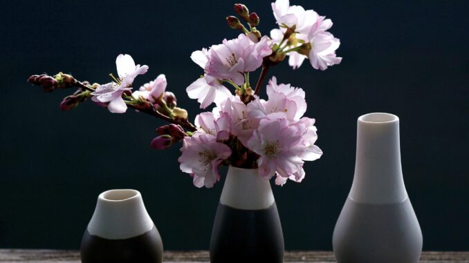 Ilustrační foto. Zdroj: Pixabay.com