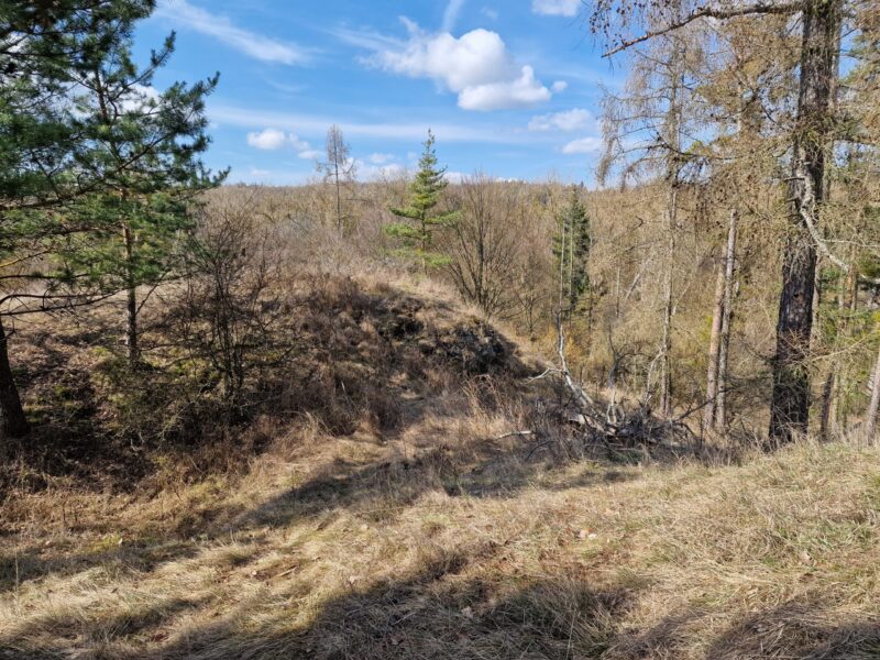 Terénní nerovnosti u zříceniny hrádku Mstěnice v Kraji Vysočina. Foto: Jiří Petruželka
