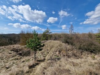 Terénní nerovnosti u zříceniny hrádku Mstěnice v Kraji Vysočina. Foto: Jiří Petruželka