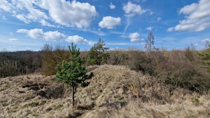 Terénní nerovnosti u zříceniny hrádku Mstěnice v Kraji Vysočina. Foto: Jiří Petruželka