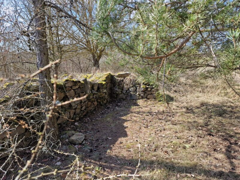 Zřícenina hrádku Mstěnice v Kraji Vysočina. Foto: Jiří Petruželka
