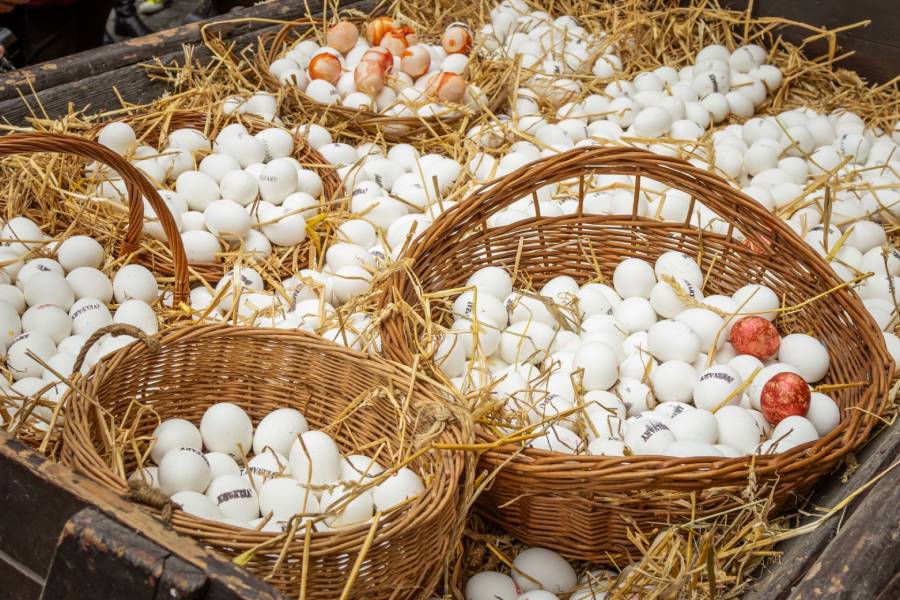 Vajíčkobraní na Karlově mostě. Zdroj: Muzeum Karlova mostu