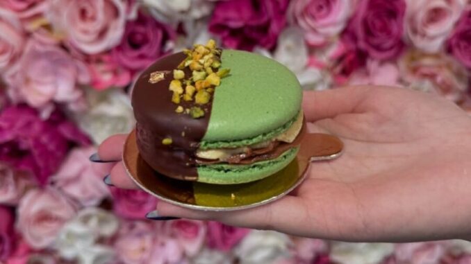 Zdroj: Food Day festival