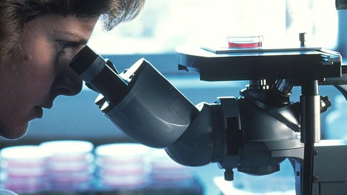 Zdroj foto: commons.wikimedia.org