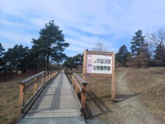 Přírodní rezervace Kamenný vrch v Brně. Foto: Anna Petruželková