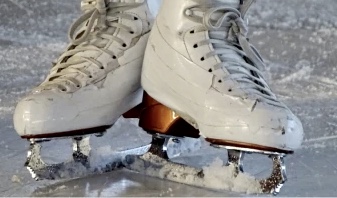 Zdroj foto: commons.wikimedia.org