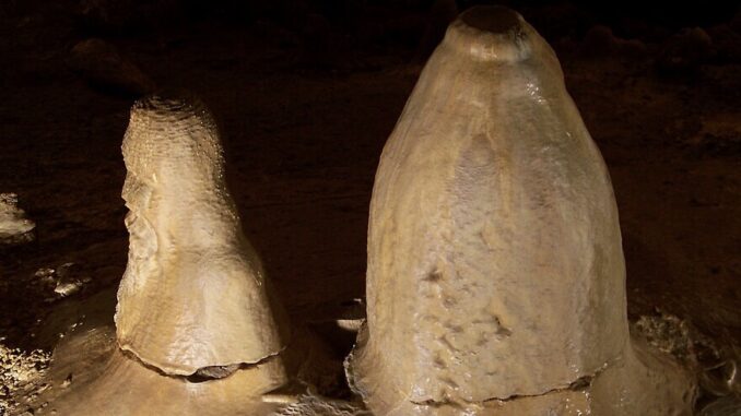 Zdroj foto: commons.wikimedia.org