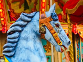 Zdroj foto: Pixabay.com