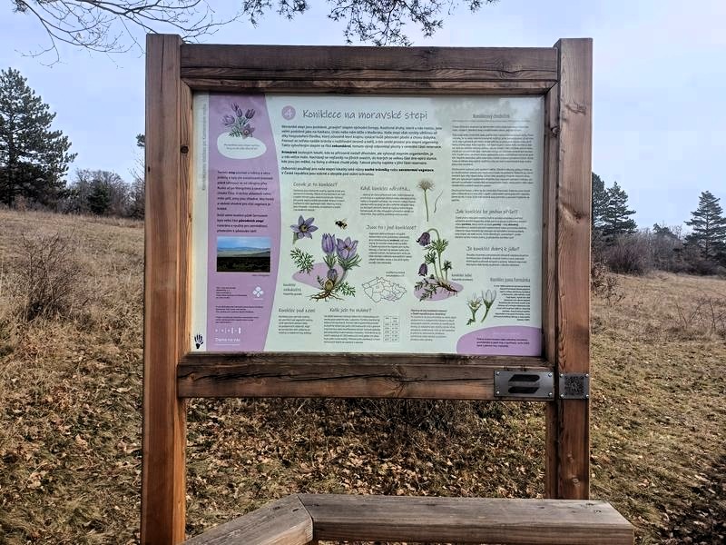 Přírodní rezervace Kamenný vrch v Brně. Foto: Anna Petruželková