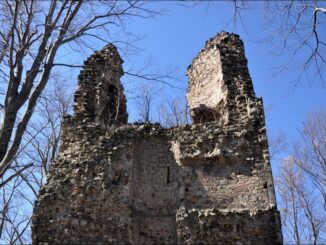 Zřícenina hradu Kaltenštejn v Olomouckém kraji. Foto: Petr Fabian. Zdroj: Hrady-zříceniny.cz