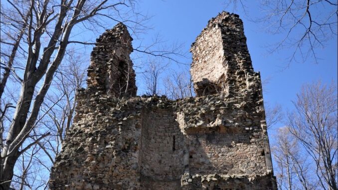 Zřícenina hradu Kaltenštejn v Olomouckém kraji. Foto: Petr Fabian. Zdroj: Hrady-zříceniny.cz