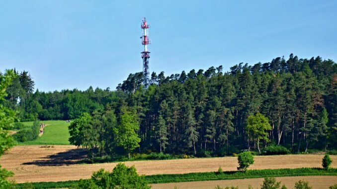 Rozhledna Kuníček u Petrovic. Foto: Wenceslaus Opletal