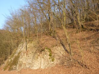 Přírodní rezervace Malužín.