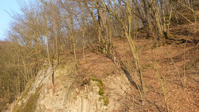 Přírodní rezervace Malužín.