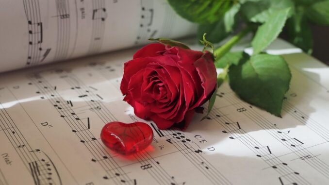 Zdroj foto: Pixabay.com