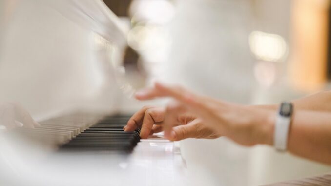 Zdroj foto: Pixabay.com