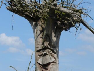 Zdroj foto: Pixabay.com