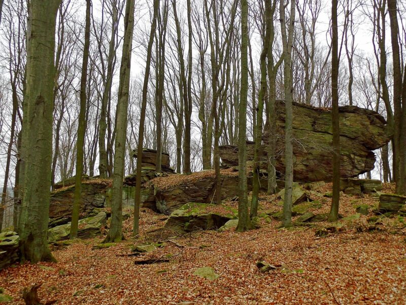 Přírodní rezervace Hrádky.