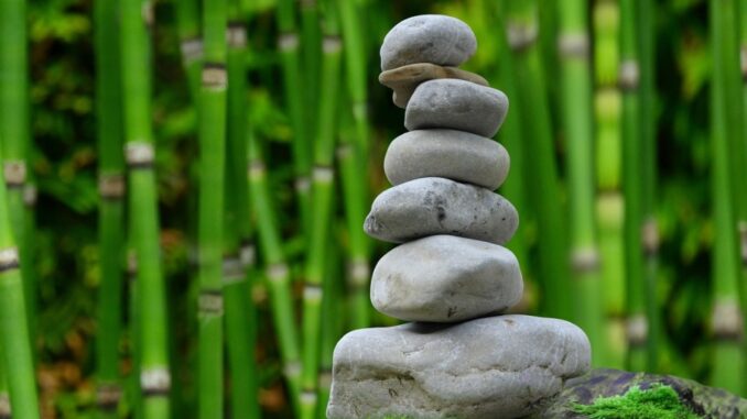 Zdroj foto: Pixabay.com