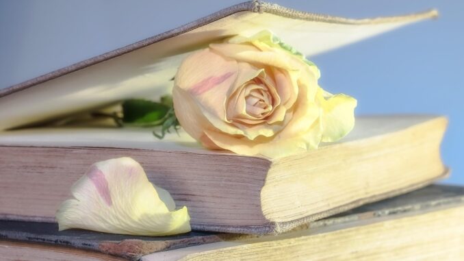 Zdroj foto: Pixabay.com