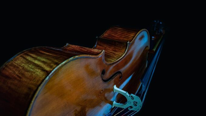 Zdroj foto: Pixabay.com