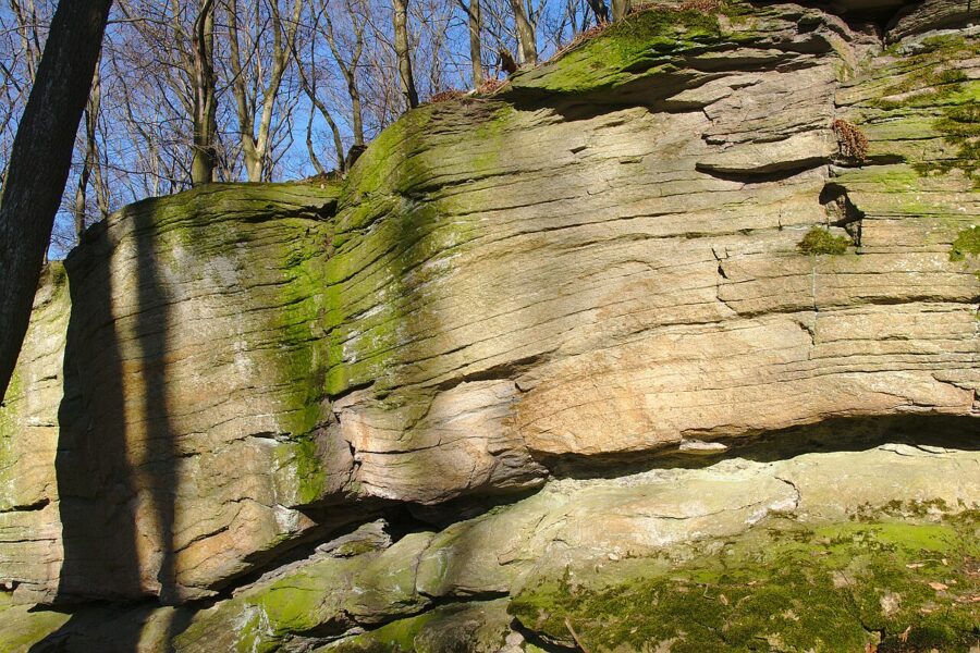 Přírodní rezervace Hrádky.