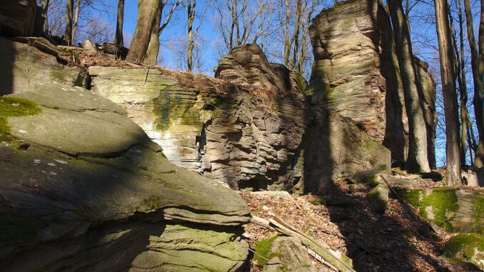 Přírodní rezervace Hrádky.