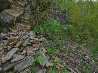 Přírodní rezervace Hrubovodské sutě.