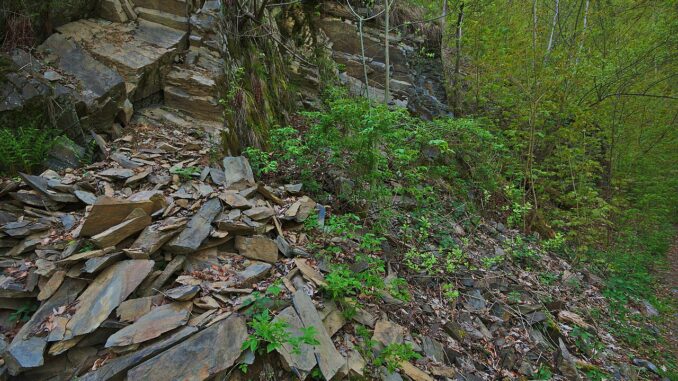 Přírodní rezervace Hrubovodské sutě.