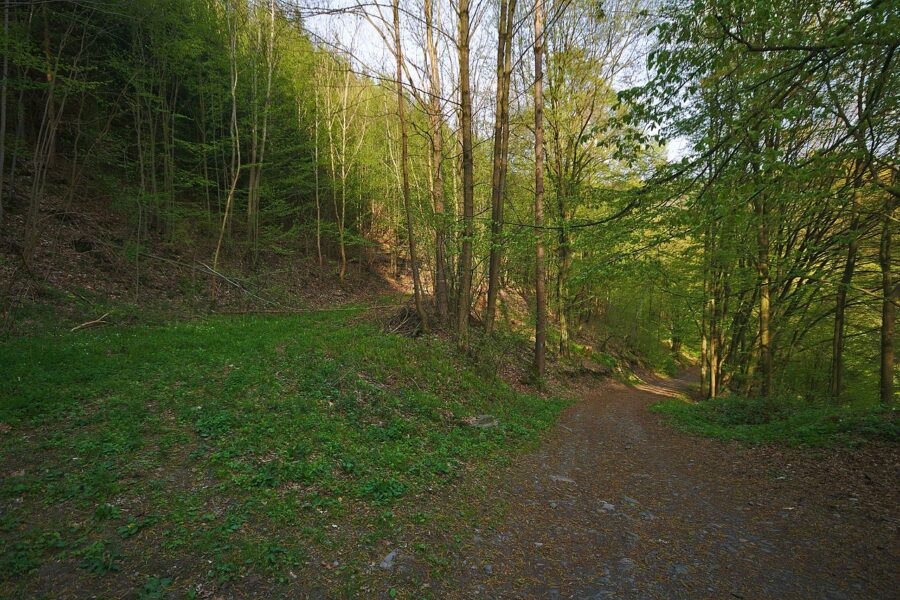 Přírodní rezervace Hrubovodské sutě.