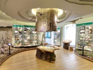 Zdroj foto: Muzeum Dr. B. Horáka v Rokycanech