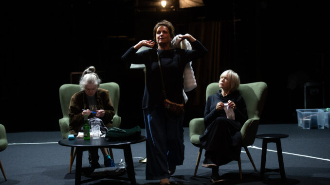 Ryba ve čtyřech. Zdroj: Divadlo Bez zábradlí