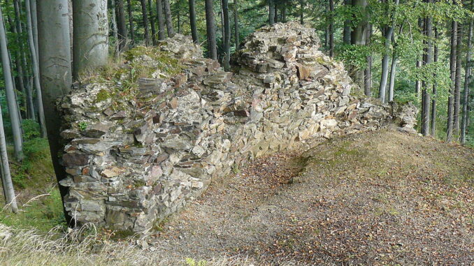 Zřícenina hradu Edelštejn.