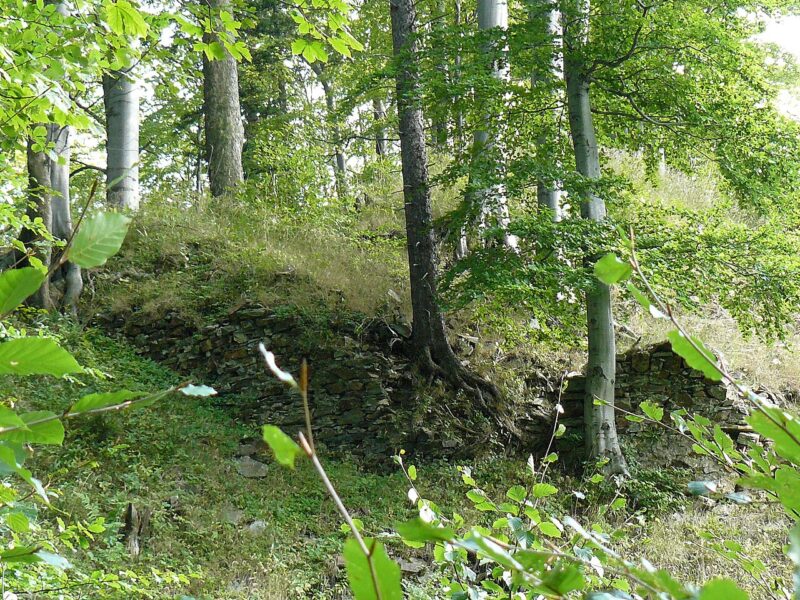 Zřícenina hradu Edelštejn.