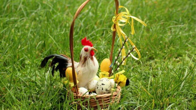 Ilustrační foto. Zdroj: Pixabay.com