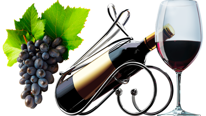 Ilustrační foto. Zdroj: Pixabay.com